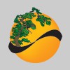 Arbor Care Tree Service