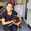 Maggie's Mobile Paw Spa