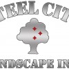 Steel City Landscape