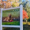 Timberlane Animal Hospital