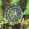 Inner Compass Hypnotherapy : Mary Place