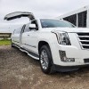 Blue Star Limousine