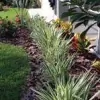 Lawn Enforcement