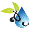 Focus Skin Care Center