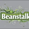 Beanstalk Computing