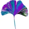 Rippling Waters Counseling