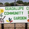 Guadalupe County Master Gardeners