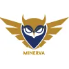 Minerva Web Development