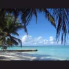 Luxurious Carib Tours & Taxi Jamaica