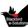 Blackbird e-Solutions