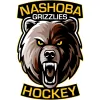 Nashoba Youth Hockey Association