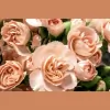 Davis Wholesale Florist