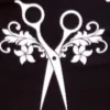 Michelina's Hair Salon