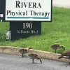 Rivera Physical Therapy