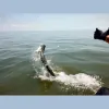 Georgia Sport Fishing Charters