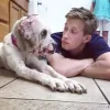 Advanced Veterinary