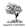 Sugarloaf Performing Arts