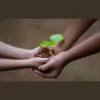 Couples and Family Wellness Center