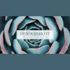 Hendershott Counseling