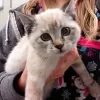 Parktown Veterinary Clinic