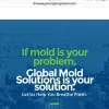 Global Mold Solutions