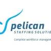 Pelican Staffing Solutions