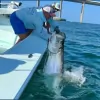 Captain Matt Santiago Fishing Charters