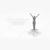 Rising Root Nutrition