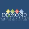 Diamond Landscapes