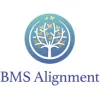 BMS Alignment