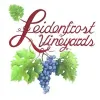 Leidenfrost Vineyards