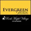 Evergreen Rock Maple