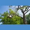 Jake's Lawn & Tree Service