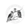 Cape Wildlife Center
