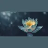 Advaita Meditation Center