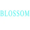 Blossom Nails & Spa