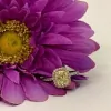 Jensen Jewelers