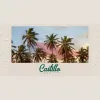 Castillo Funeral Home