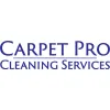 Carpet Pro
