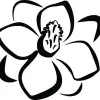 Magnolia Chapel Funeral Home