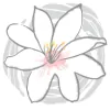 Aussie Lashes & Luxury Spa