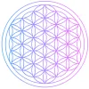 hipeDIGITAL