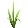 Grassroots Consult