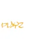 Playz Music