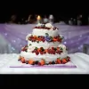 Lucy Cake Shop