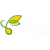 SEED Performing Arts