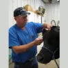 Carson County Veterinary Clinic