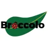 Broccolo Tree & Lawn Care