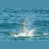 Emerald Coast Outfitters