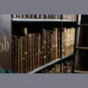Aleaf Insurance Agency